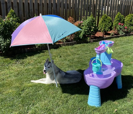 Entry image for Butters . Clicking this image will show a larger photo