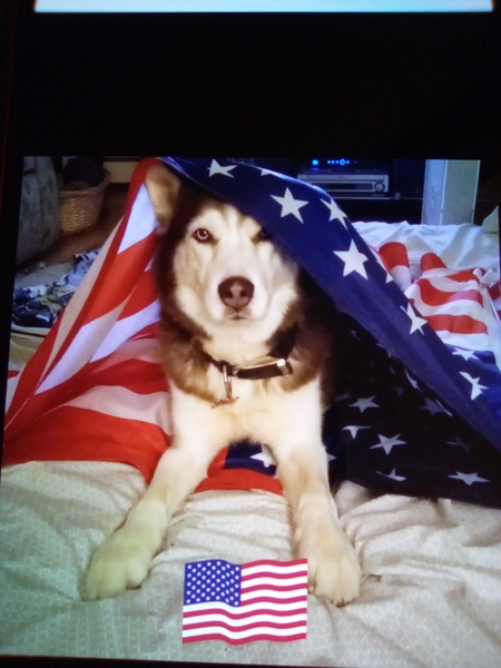 Entry image for Ernie. Clicking this image will show a larger photo