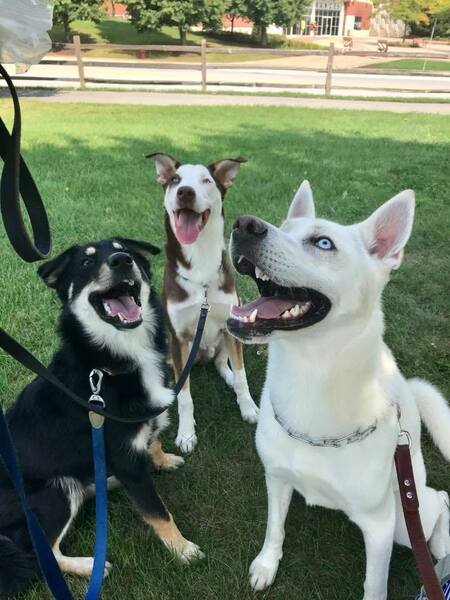 Entry image for Bert, Griffey and Clark. Clicking this image will show a larger photo