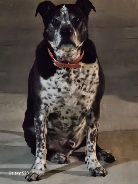 Entry image for Murphee. Clicking this image will show a larger photo