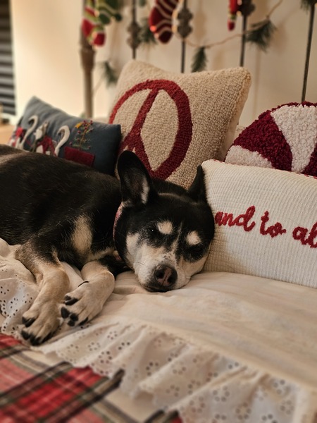 Entry image for Maui. Clicking this image will show a larger photo