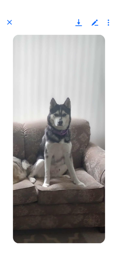 Entry image for Everest . Clicking this image will show a larger photo