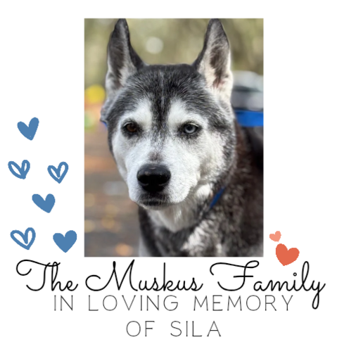 Muskus Family