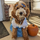 Entry image for Ellie