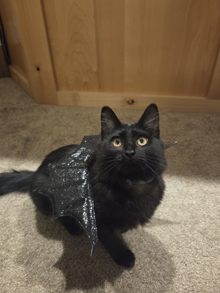 Entry image for Buoy . Clicking this image will show a larger photo