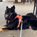 Entry image for Winnie