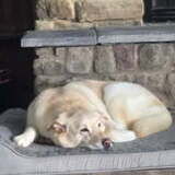 Entry image for Cora and Newton 