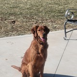 Entry image for Ruby