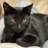 Entry image for River