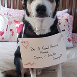 Entry image for Gandy