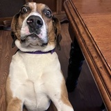 Entry image for Carl