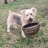 Entry image for Reuben