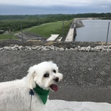 Entry image for Jack Willis Acree