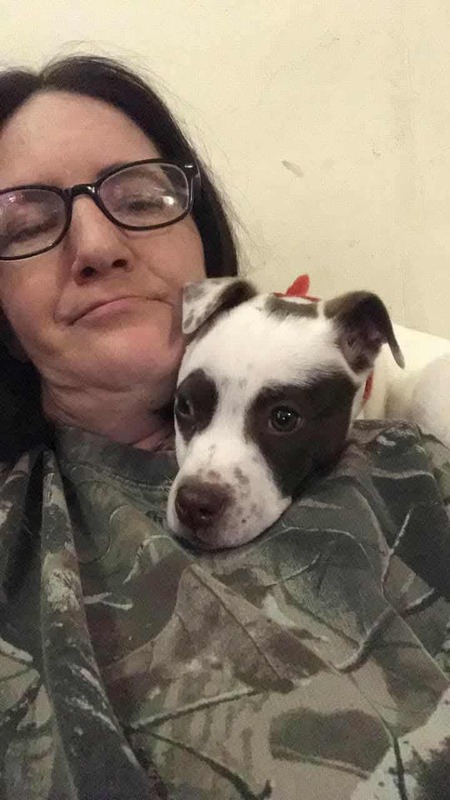 Entry image for patches. Clicking this image will show a larger photo