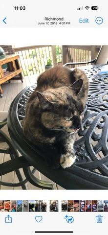 Entry image for Millie. Clicking this image will show a larger photo