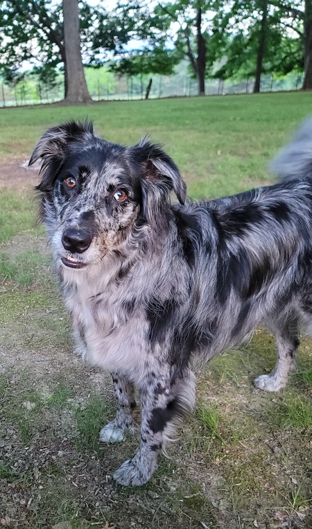 Entry image for True. Clicking this image will show a larger photo