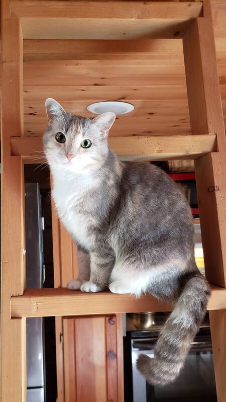 Entry image for Paige. Clicking this image will show a larger photo