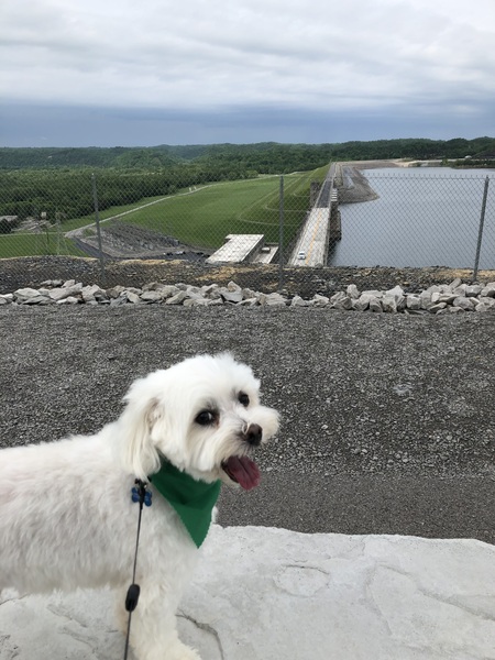 Entry image for Jack Willis Acree. Clicking this image will show a larger photo