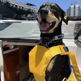 Entry image for Kirby