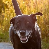 Entry image for Charles