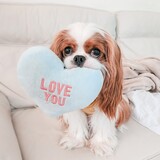 Entry image for Harris