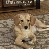 Entry image for Cooper!