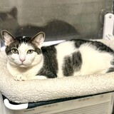 Entry image for Castle