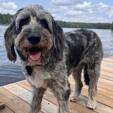 Entry image for Molly