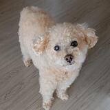 Entry image for Waffle