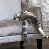 Entry image for Moxi Genevieve Day