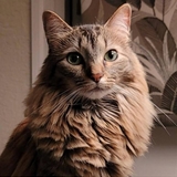 Entry image for Khloe