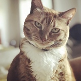 Entry image for Haley