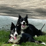 Entry image for Fergus & Claire