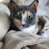 Entry image for Keiko