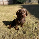 Entry image for Winnie