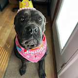 Entry image for Ruby