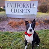 Entry image for Mickey