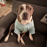 Entry image for Jewel