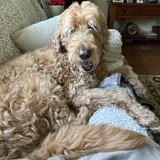 Entry image for Sedona