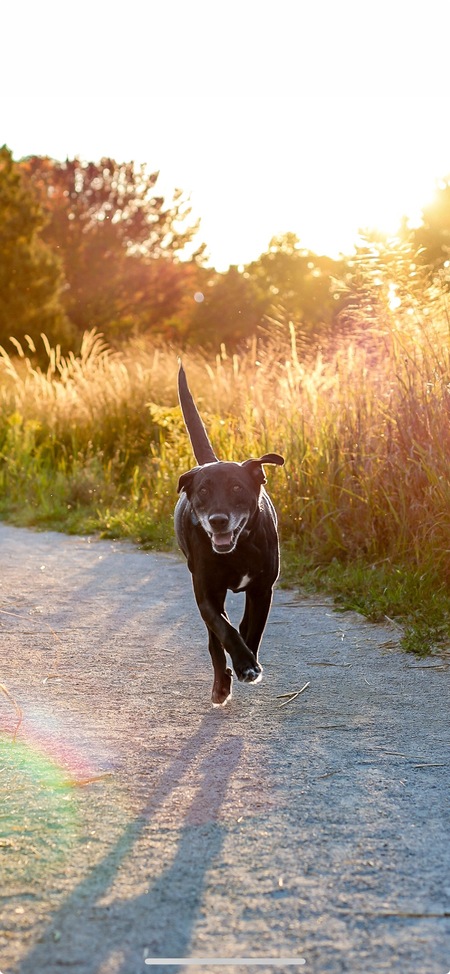 Entry image for Charles. Clicking this image will show a larger photo