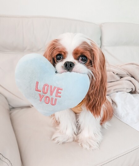 Entry image for Harris. Clicking this image will show a larger photo