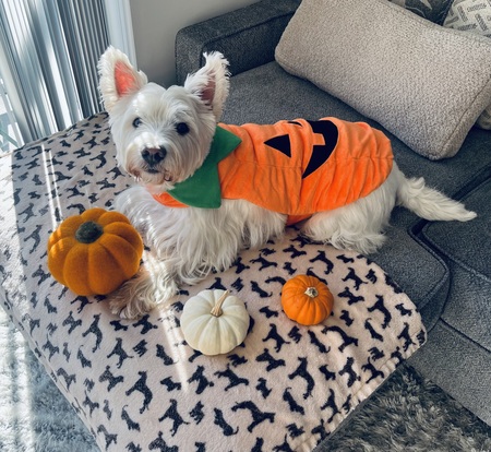 Entry image for Max. Clicking this image will show a larger photo