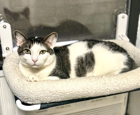 Entry image for Castle. Clicking this image will show a larger photo