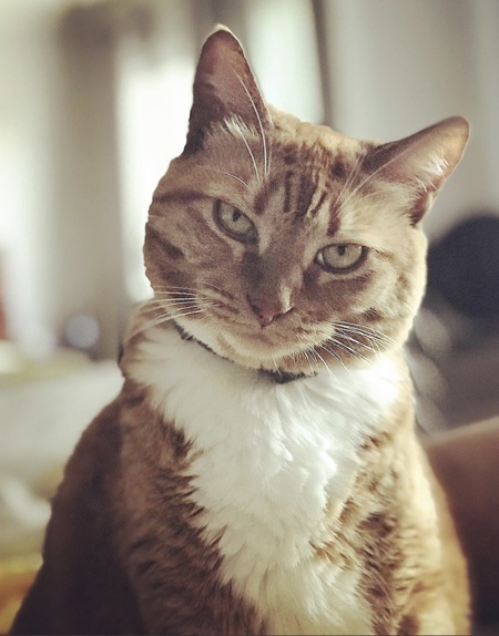 Entry image for Haley. Clicking this image will show a larger photo