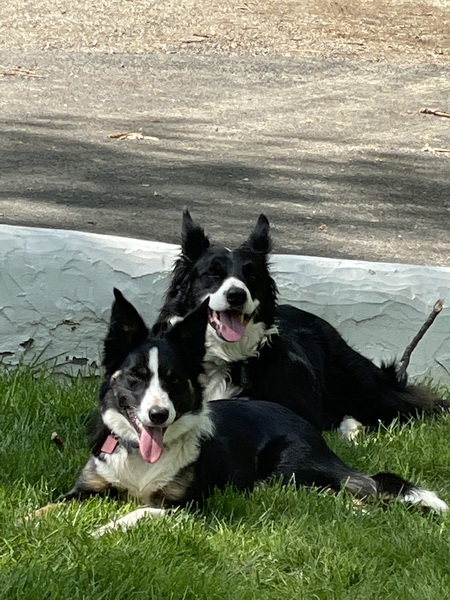 Entry image for Fergus & Claire. Clicking this image will show a larger photo