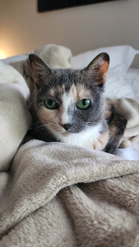 Entry image for Keiko. Clicking this image will show a larger photo