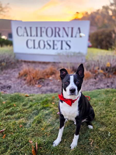 Entry image for Mickey. Clicking this image will show a larger photo