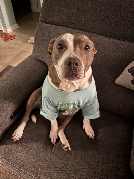 Entry image for Jewel. Clicking this image will show a larger photo