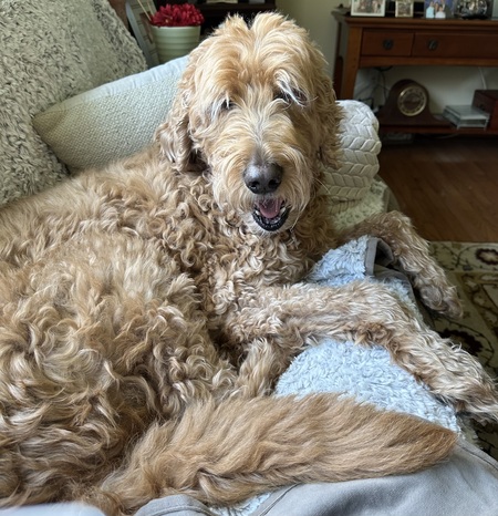 Entry image for Sedona. Clicking this image will show a larger photo