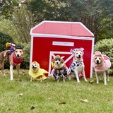 Entry image for Anderson Farm